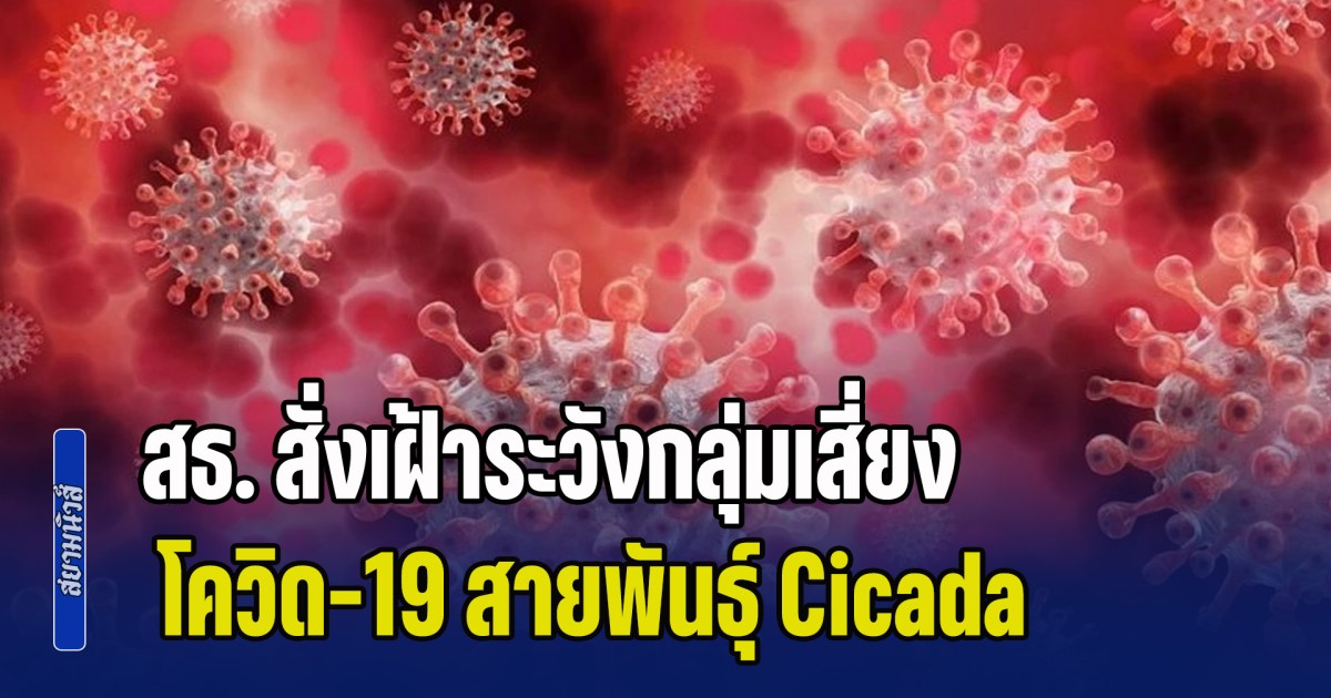 มาถึงไทยแน่! สธ. สั่งเฝ้าระวังกลุ่มเสี่ยง โควิด-19 สายพันธุ์ Cicada