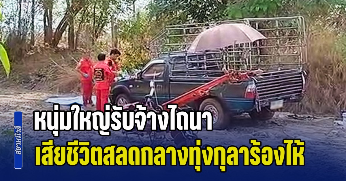 อากาศร้อนจัด! หนุ่มใหญ่รับจ้างไถนา เสียชีวิตสลดกลางทุ่งกุลาร้องไห้