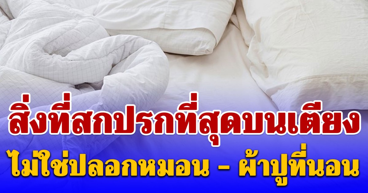แค่ซักไม่ได้ผล! แพทย์เตือน สิ่งที่สกปรกที่สุดบนเตียง ไม่ใช่ปลอกหมอน - ผ้าปูที่นอน
