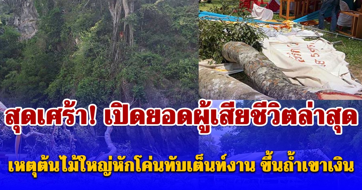 สุดเศร้า! เปิดยอดผู้เสียชีวิตล่าสุด เหตุต้นไม้ใหญ่บนหน้าผาหักโค่นทับเต็นท์งานประจำปี