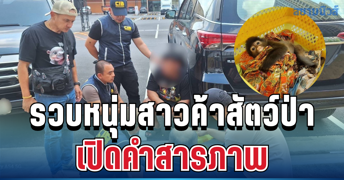 ไม่รอด! ตำรวจรวบหนุ่มสาวค้าสัตว์ป่า พร้อมค่างแว่น เปิดคำสารภาพ