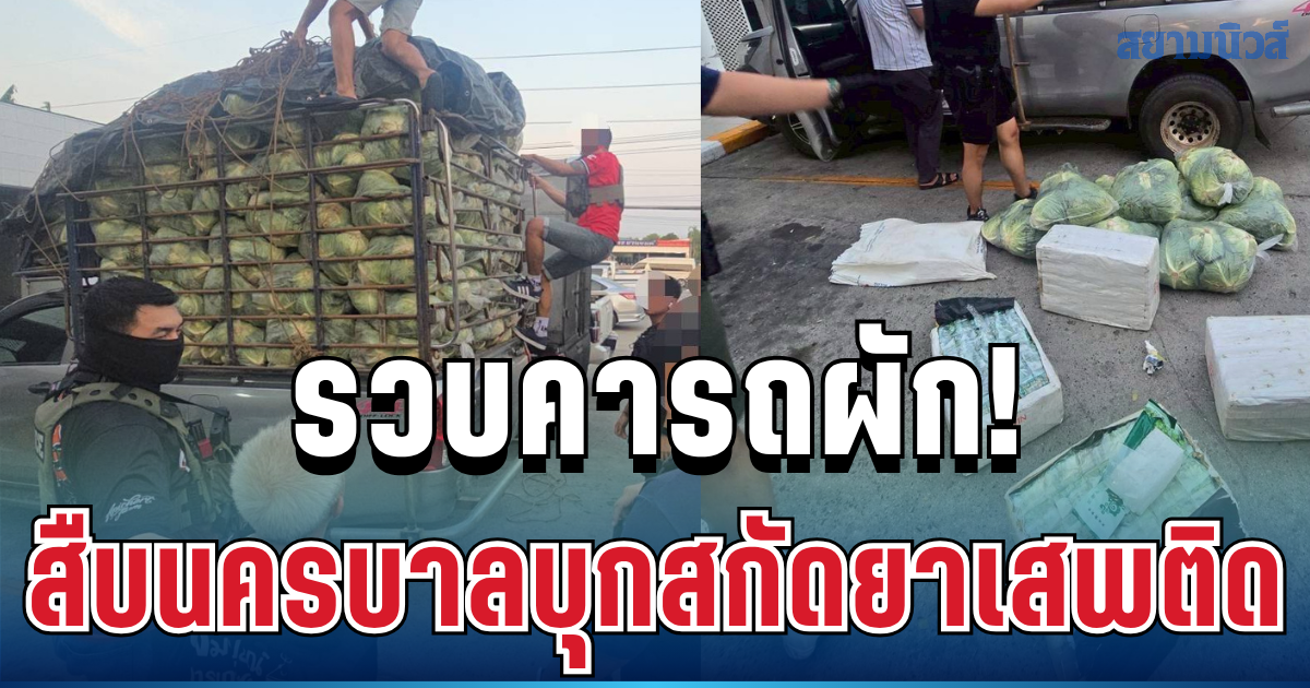 รวบคารถผัก! สืบนครบาลบุกสกัดยาเสพติด คนขับอ้างรับจ้างหาเงินรักษาลูก