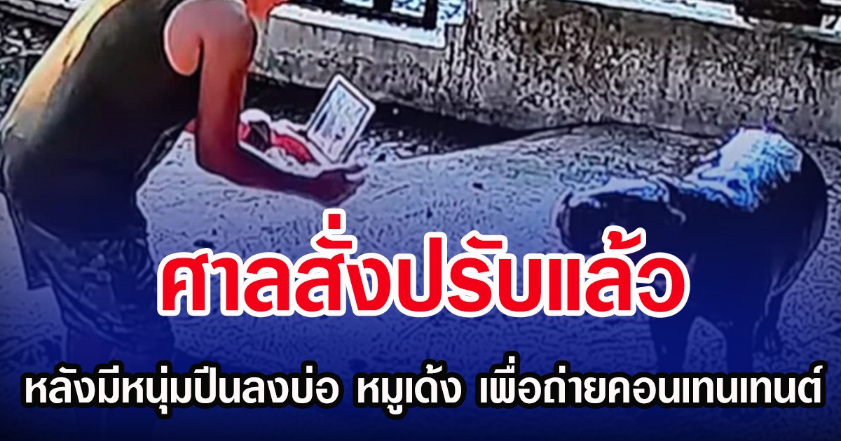 ศาลสั่งปรับแล้ว หลังมีหนุ่มปีนลงบ่อ หมูเด้ง เพื่อถ่ายคอนเทนเทนต์