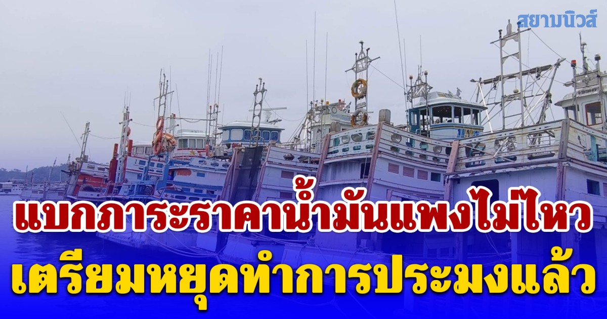 เรือประมงกว่า 400 ลำ แบกภาระราคาน้ำมันแพงไม่ไหว เตรียมหยุดทำการประมงแล้ว