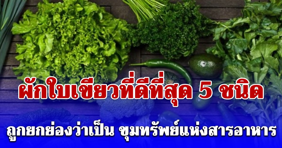 หมออยากให้กินทุกวัน 5 ผักใบเขียวที่ดีที่สุด ประโยชน์เริ่ด