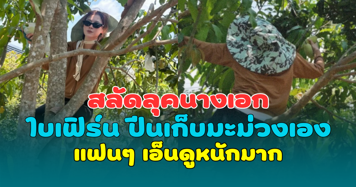 สลัดลุคนางเอก ใบเฟิร์น พิมพ์ชนก โชว์สกิลปีนเก็บมะม่วงเอง แฟนๆ เอ็นดูหนักมาก