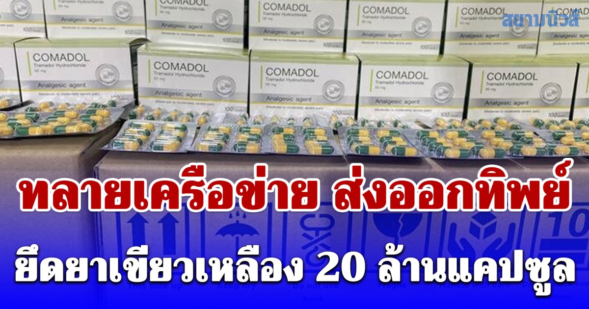 ปคบ.-อย. บุก 3 จุดใหญ่ ทลายขบวนการ ส่งออกทิพย์ ยึดยาเขียวเหลือง 20 ล้านแคปซูล