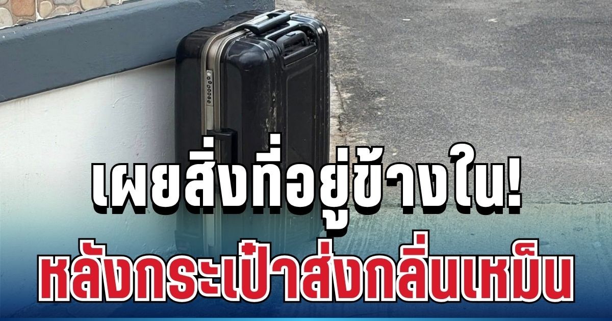 รู้แล้วยิ่งสะเทือนใจ! เผยความจริงที่อยู่ในกระเป๋า ส่งกลิ่นเหม็นคละคลุ้ง ทำคนช็อกทั้งชุมชน