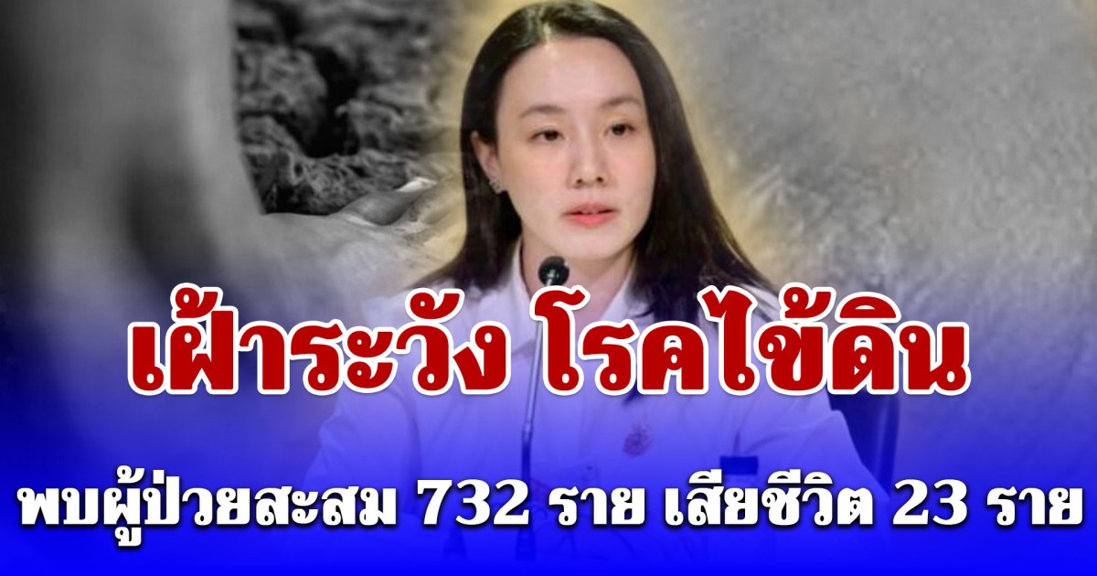 รัฐบาล ประกาศเตือน เฝ้าระวัง โรคไข้ดิน พบผู้ป่วยสะสม 732 ราย เสียชีวิต 23 ราย เผยอาการรีบพบแพทย์