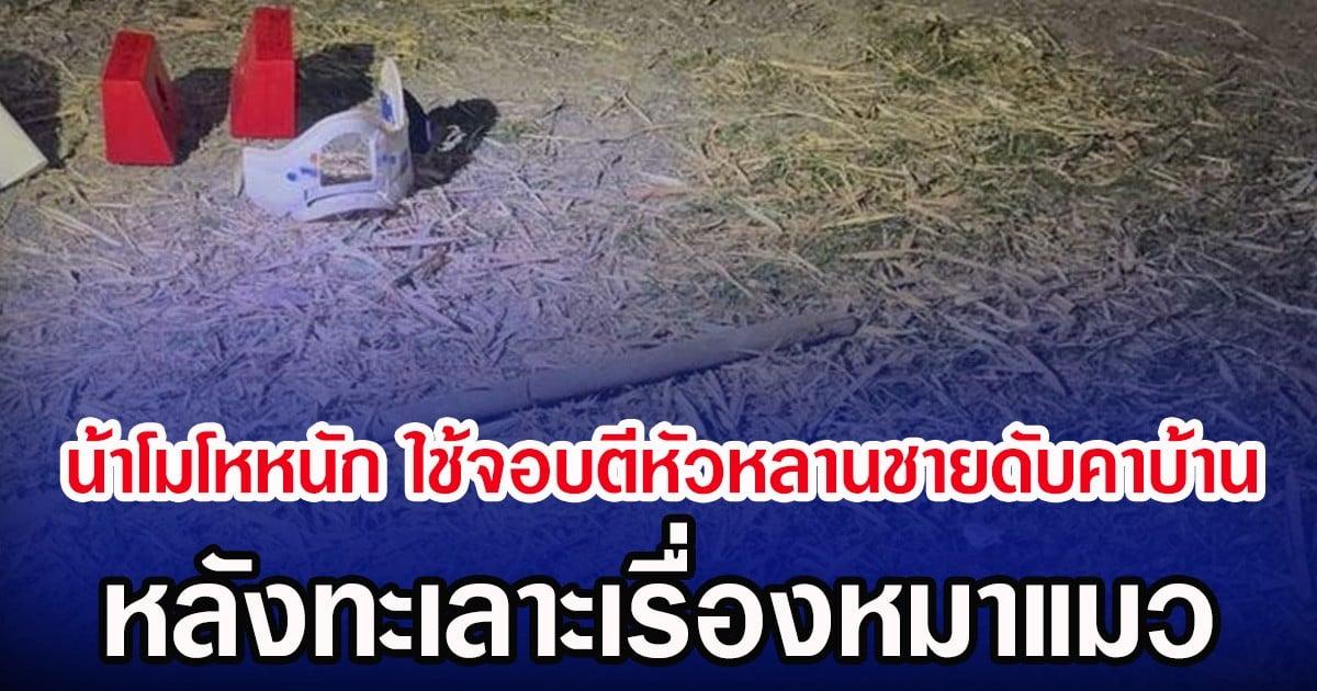 น้าโมโหหนัก ใช้จอบตีหัวหลานชายดับคาบ้าน หลังทะเลาะเรื่องหมาแมว