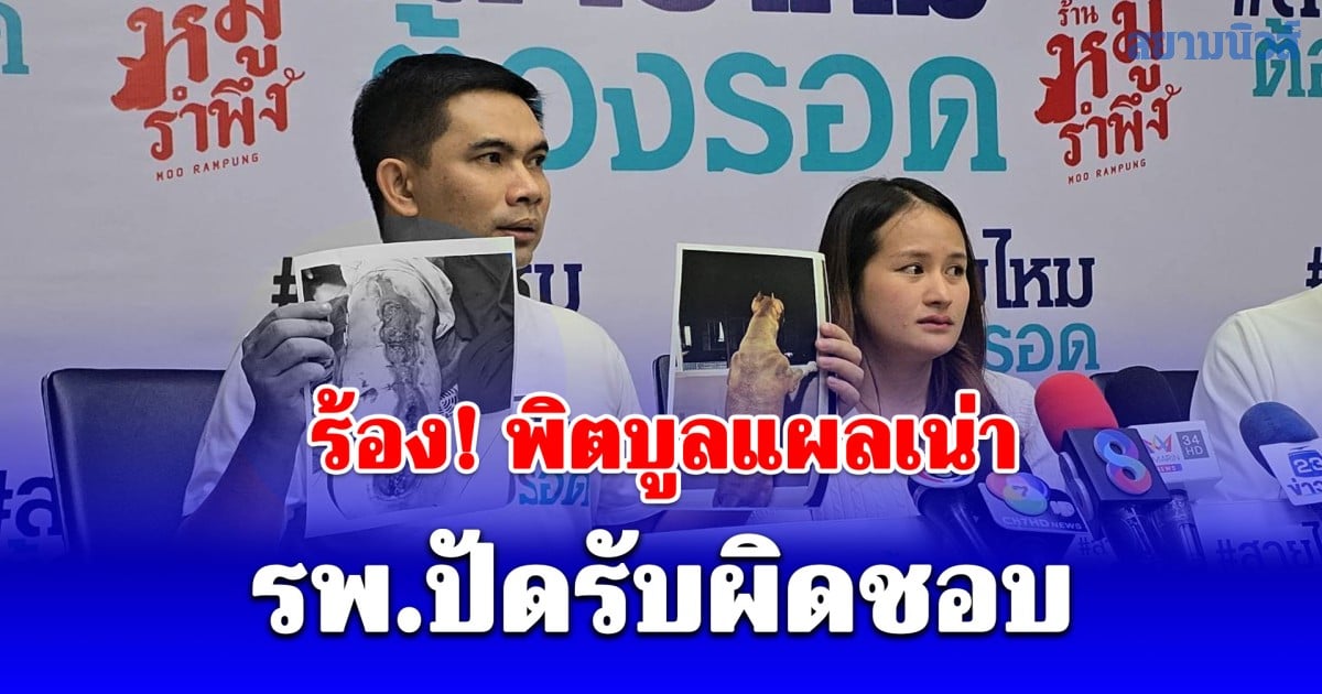 เจ้าของน้องหมา ร้อง! หลังนำหมาเข้าทำหมันที่ รพ.สัตว์ชื่อดัง แต่น้องกลับมีอาการหนังหลุด ขนร่วง และเกิดแผลเหวอะเต็มแผ่นหลัง