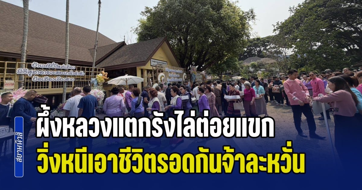 วุ่นทั้งจวนผู้ว่าฯ! ผึ้งหลวงแตกรังไล่ต่อยแขก วิ่งหนีเอาชีวิตรอดกันจ้าละหวั่น