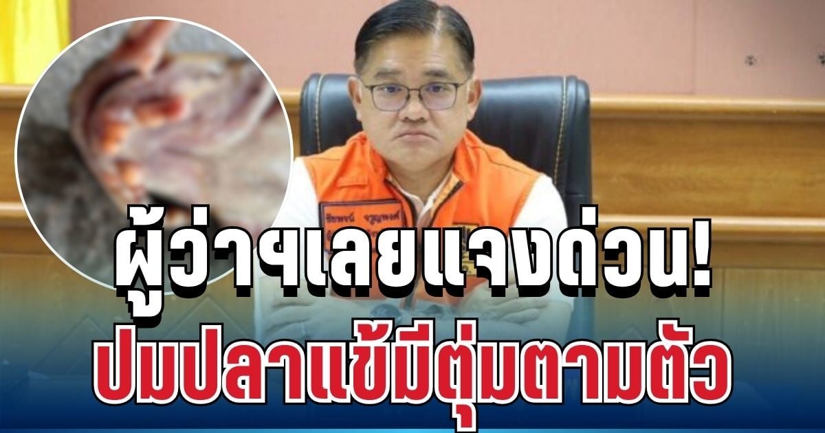 ไม่ใช่อย่างที่คิด! ผู้ว่าฯเลยแจงด่วน ปมปลาแข้มีตุ่มตามตัว