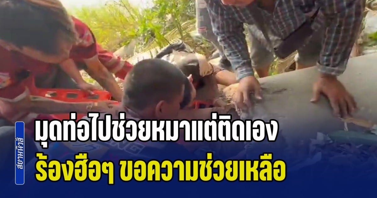 สงสารยายวัย 81 มุดท่อไปช่วยหมาแต่ติดเอง ร้องฮือๆ ขอความช่วยเหลือ