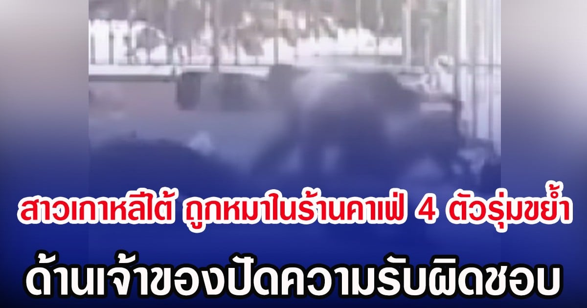 สาวเกาหลีใต้ ถูกหมาในร้านคาเฟ่ 4 ตัวรุ่มขยํ้า ด้านเจ้าของปัดความรับผิดชอบ(ตปท.)