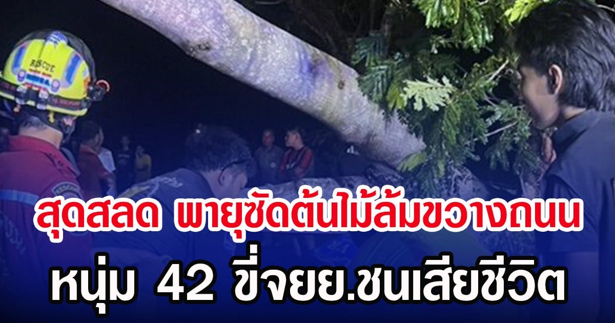สุดสลด พายุซัดต้นไม้ล้มขวางถนน หนุ่ม 42 ขี่จยย.ชนเสียชีวิต