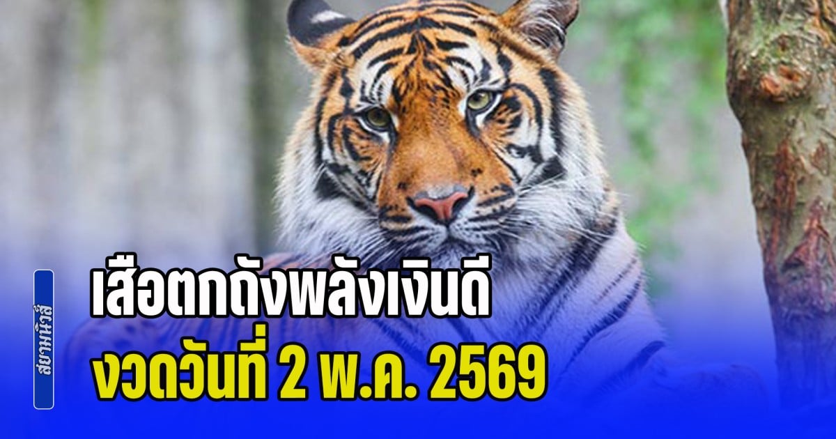 เซฟเก็บไว้เลย แนวทางจาก เสือตกถังพลังเงินดี วันที่ 2 พฤษภาคม 2569
